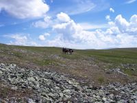 Перевал плоский